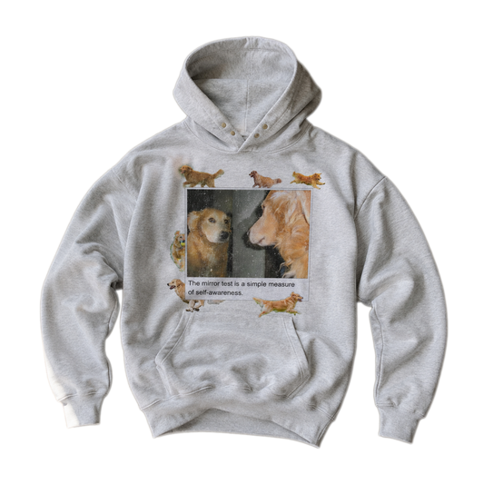 mirror dog hoodie